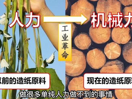 古法造纸与现代造纸流程 #科普知识 #四大发明