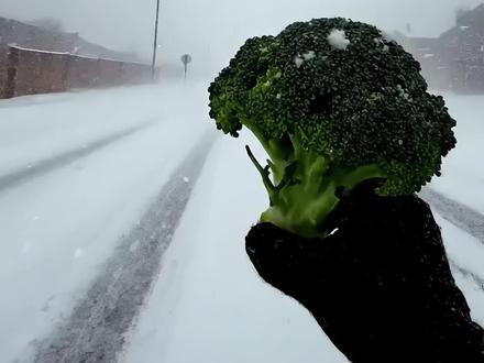 末日极寒来临,十二星座决定你的庇护所!-完整版
#ai创作浪潮计划 #庇护所 #十二星座 #助眠 #青年创作者成长计划