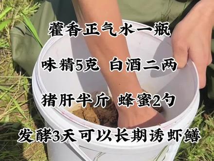 抓黄鳝抓河虾#抓黄鳝河虾小技巧 #抓甲鱼