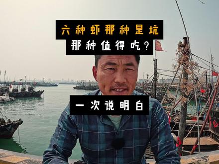这六种大虾那种最值?那种是坑!大表哥一次说明白. 这六种大虾那种最值?那种是坑!大表哥一次说明白.#海鲜避坑 #大虾 #海鲜美食 #渔船码头