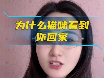 猫咪的信任感#宠物知识 #宠物 #养猫人 #科学养宠攻略