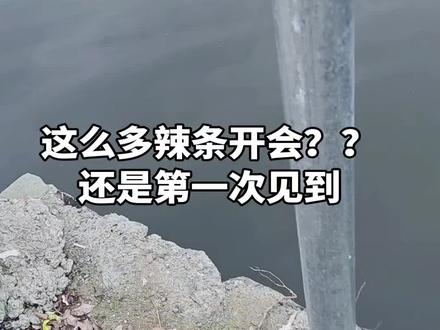 气温高了,全是辣条!!!