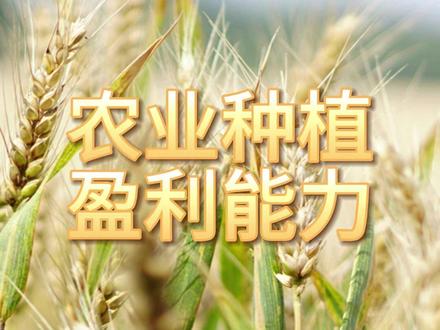 农业种植,盈利最强的10家企业 #农业种植 #盈利能力