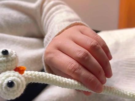 【超详细长脖子咕咕鸡零基础钩织教程 二】