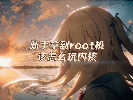 新手刚拿到root机该怎么使用内核#拍机堂淘机 #内核 #root