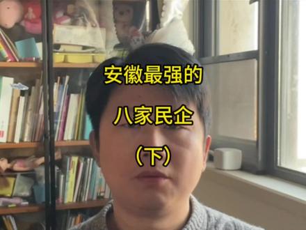 安徽最强的八家民企(下) 民企其实才是一个城市的核心竞争力。#安徽 #蔚来 #比亚迪 #联宝 #阳光电源