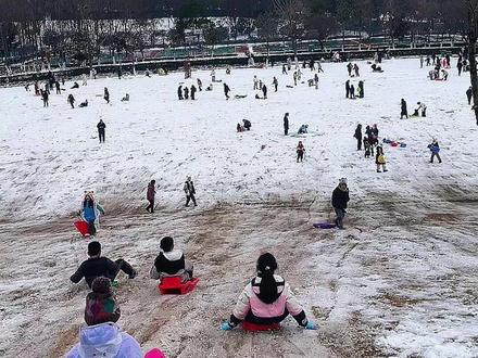 合肥公园也能滑雪啦!宝宝们玩疯了~ 雪后庐州公园大草坪,直接变身天然滑雪道!孩子们坐着滑草板呼啸而下,笑声像铃铛一样洒满山坡,快乐感直接拉满,遛娃速来!#合肥 #合肥下雪了 #合肥周边游 #合肥旅游 #真实生活分享计划