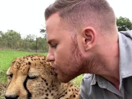 分享科普20种动物的叫声,你都听过几种?#动物科普 #动物叫 #涨见识