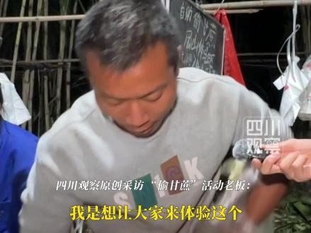 #真人版偷甘蔗火了老板直呼遭不住 11月21日,四川眉山。活动老板告诉四川观察记者:不管抓没抓到,现在通通9块9一根,前来体验的游客太多自己“遭不住了”,现在凌晨3点就结束营业。