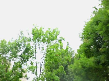 全新帕萨特《行走的说明书》