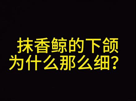 动物科普 抹香鲸篇
抹香鲸下颌为什么这么细 抹香鲸和虎鲸谁算海洋最强掠食者#神奇动物在抖音 #动物世界 #海洋生物#抹香鲸#虎鲸