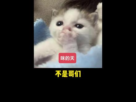 电脑怎么买? 电脑怎么买#电脑 #内存 #电脑知识 #内存条 #618