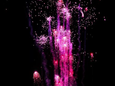 “粉色浪漫水母系列”#上热搜 #烟花