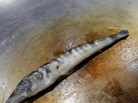 南极冰鱼你想吃吗?#抖音美食推荐官 #餐饮人拍抖音 #今日美食分享 #抖音美食