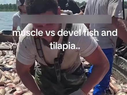 清道夫没水也可以存活数天 #清道夫 #动物科普