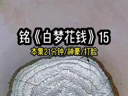 白梦花钱15 #女生必看 #打脸