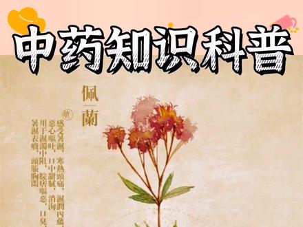 佩兰....芳香...化...湿#上热门 #中草药 #植物 #科普