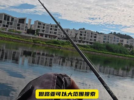 路亚PK活饵!泥鳅、白条、趴地虎、虾!哪个最好用? 我们玩路亚的,如何钓活饵的
今天来盘点一下,路亚野钓,活饵,哪个好用
先申明啊,我本人从来没用过活饵
不赞成,也不反对,用活饵钓鱼
当然生产性捕捞,活饵打窝除外啊,那是法律法规不允许的,不能碰
那我是怎么知道活饵哪个好用的呢?谁身边还没几个玩活饵的钓友呢
那我先讲活饵在什么情况下好用,再讲哪一种活饵更好用
以及我们玩正经路亚的,如何应对他们
首先活饵不是什么情况下都好用的
两种情况下,活饵玩不过路亚
第一是鱼活性很好的时候,活饵假饵都嘎嘎咬,这个时候活饵就玩不过路亚
特别是野钓鳜鱼,鱼都是一波一波顶上来的
刚好碰到顶上来一波,抢鱼的时候,活饵,玩不过路亚
然后第二种情况是,鱼情很差,也不知道鱼在哪,假饵活饵,都没口的时候
路亚的机动性就出来了,活饵钓的慢,但路亚可以大范围搜索
远投、急流、深水,都可以钓
然后你岸钓的话,转移标点也更快,这个时候活饵就不是你的对手
那什么情况下活饵无敌呢!
那就是同一个标点,水面不大,水流也不大,结构也不多,藏鱼的位置,就那么几个地方
那你玩路亚,肯定不是活饵的对手
你唯一的胜算就是一不小心,把他的活饵桶,打到水里去
那什么种类的活饵,最好用呢!
就看你本地,水域里面,路亚鱼种以什么饵鱼为主食,这个小鱼就更好用
像是我们这边,野钓鳜鱼,小白条,趴地虎,就是比泥鳅更好用
ok,你学会了没有,关注我,学点扎实的
#路亚野钓 #路亚鳜鱼 #路亚钓鱼 #路亚假饵 #路亚教学