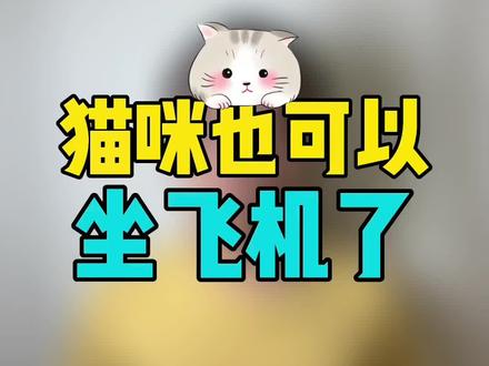 你知道猫咪也可以坐飞机了吗#萌宠 #猫咪 #猫咪坐飞机