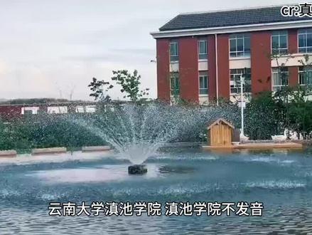 出门在外身份是自己给的
#云南专升本 #云南 #云南高校 #统招专升本 #云南大学滇池学院