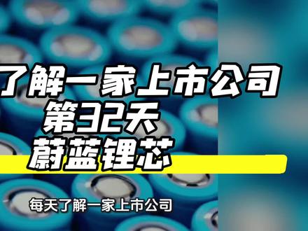 每天了解一家上市公司,第32天:蔚蓝锂芯
