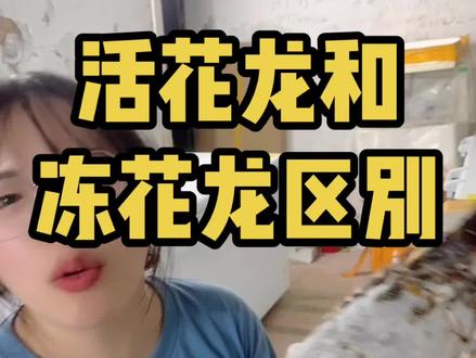 #生猛海鲜 #高端食材 #海鲜批发 #龙虾 活的花龙和冻的花龙有什么区别?