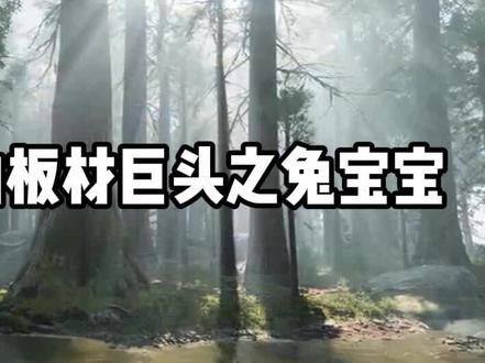 解密国内市值蕞高的板材上市企业兔宝宝#兔宝宝 #板材