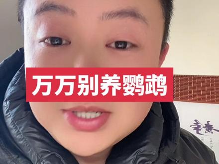 鹦鹉的坑,你是跳还是不跳呢!