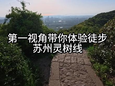 用20分钟带你体验徒步苏州灵树线全程 花上20分钟,带你体验徒步苏州灵树线全程#江浙沪周边游 #江浙沪徒步 #江浙沪爬山 #灵岩山 #树山