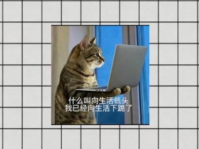 3000-6000价位四台质价比超高的学生党游戏本 学生党第一台游戏本,千万别乱买,看看这四台质价比超高的学生党游戏本在决定巴#电脑 #电脑小技巧 #电脑知识 #游戏本 #二手游戏本