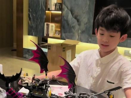 乐高大概是所有男孩子都无法抗拒的吧 #骗你生儿子 #小五 #乐高 #LEGO