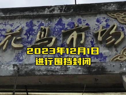 真告别了,油榨街花鸟市场关闭时间确定