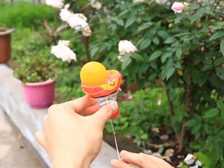 又是一个弹力小制作,简单好玩,试试呗#大潘科学实验站