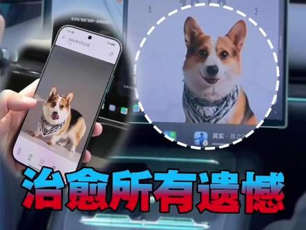 超治愈的小米车机AI宠物陪伴模式 #新一代SU7