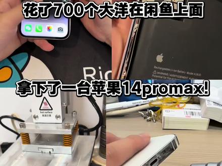 花了700块钱在闲鱼拿下的苹果14promax究竟能不能得吃 #淘机 #闲鱼捡漏 #苹果14promax #华星屏