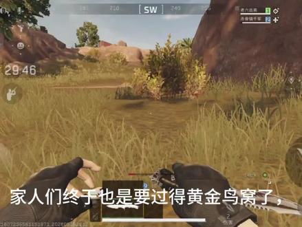 嘿嘿嘿,终于得到黄金鸟窝了