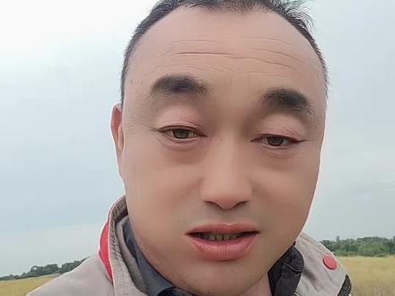 领导们,怎么办!#热门话题 #雷沃跨区了 #潍柴雷沃农业装备 #抖音农机 #农业机械 @潍柴雷沃老刘 @汝南县兄弟农机王银华 @潍柴雷沃智慧农业