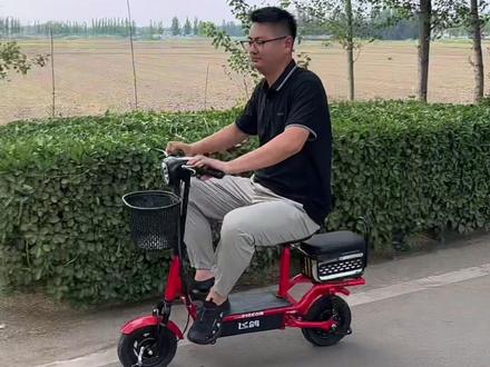 飞鸽电动车国民老品牌。可折叠 可放后备箱 #折叠电动车#电动车#电动车源头工厂#绿色出行低碳又环保