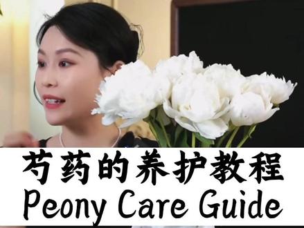 一看就会的芍药的养护教程 @花伍鲜花批发App•拂苏 @拂苏花艺直播作品
#芍药养护教程 #芍药 #芍药养护小技巧 #花艺培训 #花材养护