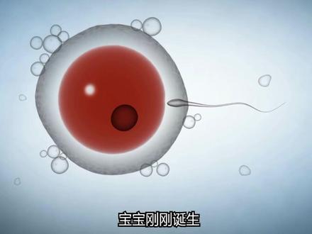 📌怀孕1-3月|孕早期胎宝宝每周变化,太神奇啦! 从发现两条杠的那一刻起,我就每天都在想:宝宝现在长什么样子?有没有在好好长大?🤰
其实从第1周开始,宝宝就在悄悄变化啦!下面是孕早期1-12周,胎宝宝每一周的发育情况,记录下他的每一次成长👇
·
🍼第1-2周
其实这时候还没真正怀孕哦~只是排卵期和等待受精的阶段,为备孕做准备。宝宝还是个“计划”中的小种子。
·
🍼第3周
受精成功,形成受精卵!胚胎开始细胞分裂,朝着子宫前进,准备着床。
·
🍼第4周
受精卵着床成功,宝宝正式“入住”子宫啦!开始形成胎盘和羊膜囊,虽然只有芝麻那么小,却能分泌hCG了。
·
🍼第5周
胚胎快速生长,神经管开始闭合,是大脑和脊柱的雏形。心脏也在慢慢形成,准备跳动。
·
🍼第6周
小心脏已经能跳动啦❤(约每分钟100-160次)。眼睛、耳朵、四肢的小芽也开始出现,像个小蝌蚪。
·
🍼第7周
面部轮廓渐渐清晰,胳膊和腿在继续发育。宝宝现在约有1cm,像一颗蓝莓!
·
🍼第8周
五官更明显了,手指脚趾开始分化,小尾巴也慢慢消失。内脏器官悄悄运作中。
·
🍼第9周
胎宝宝越来越像个小人了!胚胎阶段结束,正式进入“胎儿期”,脊椎、骨骼正在初步成型。
·
🍼第10周
宝宝长到约3-4cm,头大身小像个小橙子。牙胚、指甲、毛囊开始形成。
·
🍼第11周
宝宝会动啦!虽然妈妈感觉不到,但他已经会打哈欠、翻身、吸吮,超活泼!
·
🍼第12周
胎盘发育完成,宝宝有了基本外形,器官也基本形成。他现在大约像一颗李子,进入稳定发育期!
·
👶从一颗细胞到一个小小生命,短短三个月,宝宝已经完成了巨大的蜕变。
记录下每一周的成长,是一件非常幸福的事情~
如果你也在孕早期,记得收藏这份发育时间线,一起见证生命的奇迹💖
#孕早期 #胎儿发育 #怀孕1-3月 #孕妈日记#接好孕