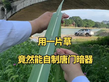 用一片草,竟然能自制唐门暗器