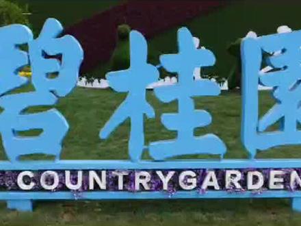 碧桂园杨惠妍、莫斌致歉:非常内疚,请给公司一点时间!