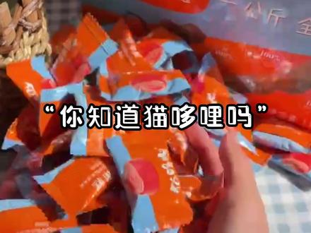 不会只有我最后知道猫哆哩产自玉溪吧!#云南 #去有风的地方 #猫哆哩 @DOU+小助手