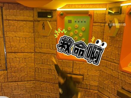 真的想再二刷三刷的乐园,刺激又紧张,真的太释放情绪了,好好玩 #萌呀神兽乐园#假期遛娃好去处 #密室闯关游戏 #北国未来城 #萌呀神兽营地