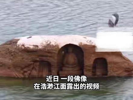 见者好运!重庆江心岛佛像露出水面 该处摩崖造像距今已近600年 或为保佑船只在江面平安航行而建 #祝福 #好运