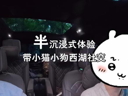 小猫小狗:“法海怎么不给你抓进去” #万物可爱计划 #我和毛孩子的第n年 #养宠人的治愈谁懂啊 #日常vlog #萌宠