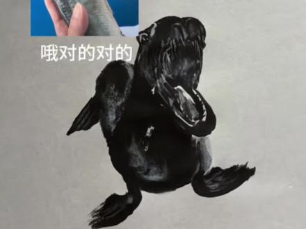 我去不早说😮 海狮@海合安武汉极地海洋度假区 #海狮#国画