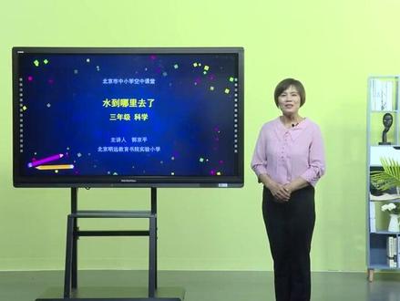 小学科学科教版三年上册-水到哪里去了