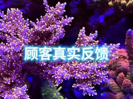 用户反馈使用效果,灯X240G6PRO