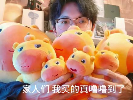 噜噜后续来了家人们#水豚噜噜 #小米yu7 #小米汽车 #晒出你的爱车